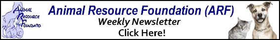 The Weekly A.R.F. Newsletter - Click 
Here!