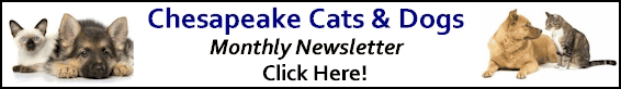 The Monthly Chesapeake cats And Dogs 
Newsletter - Click Here!