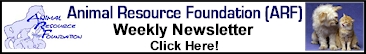 The Weekly A.R.F. Newsletter - Click Here!