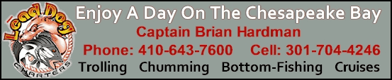 Lead Dog Charters - Click Here!