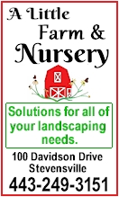 A Little Wildflower Nursery - Click Here!
