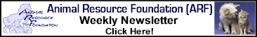 The Weekly A.R.F. Newsletter - Click Here!