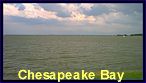 The Mouth of the Chester River and The Chesapeake Bay on Kent Island's East Side...Click to enlarge.