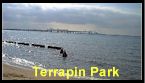 View of the Bay Bridge from Terrapin Park.  Click to enlarge.