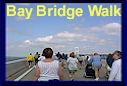 The annual Bay Bridge Walk.