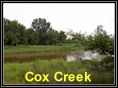 Cox Creek in Chester.  Click to enlarge.