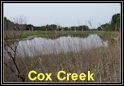 Cox Creek in Chester.  Click to enlarge.